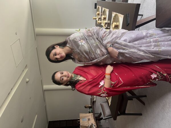 Metallic Grey Tissue saree - Image 6
