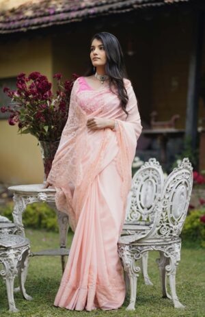 Peach Lace Saree