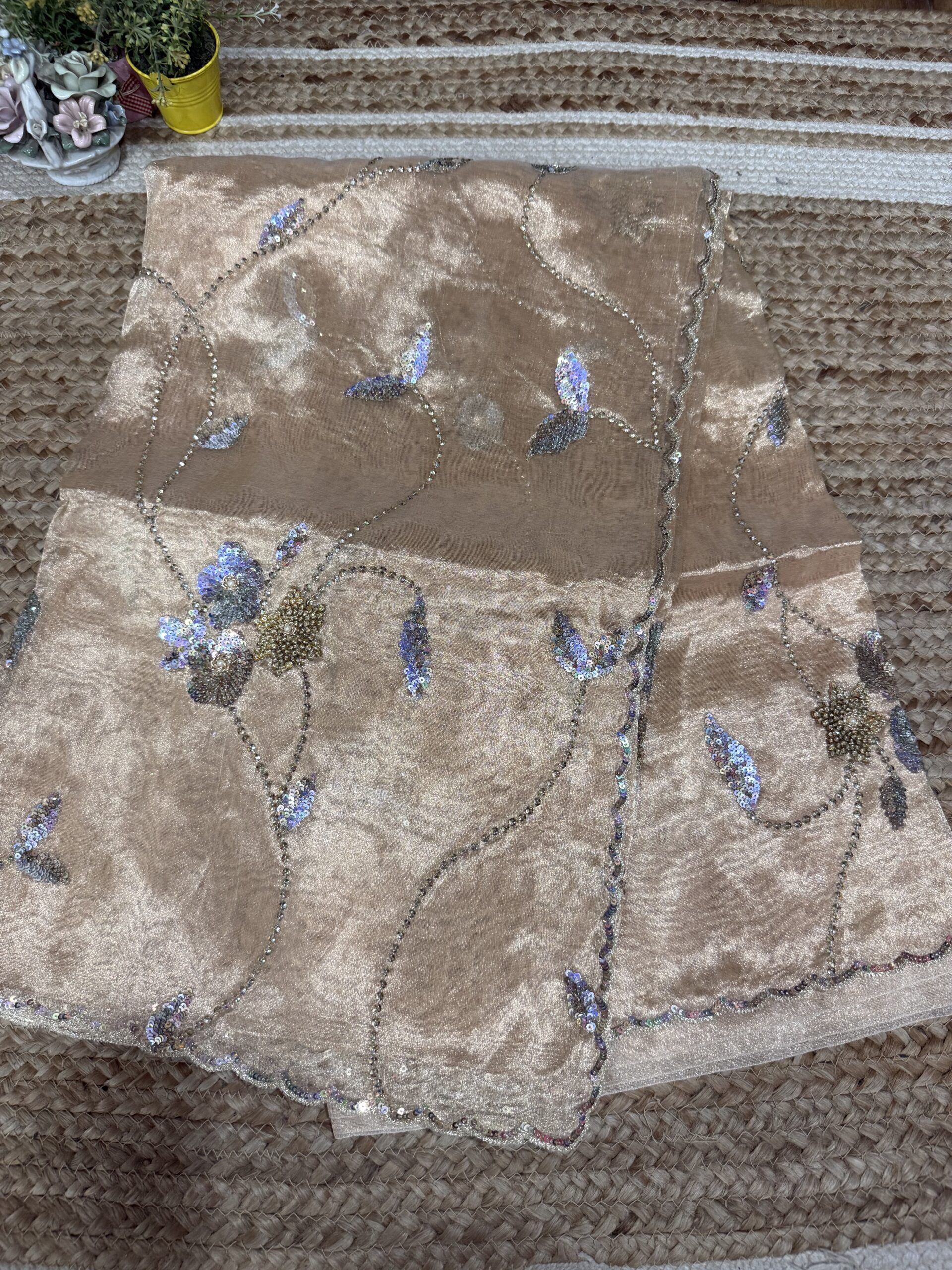 Champagne Sitara Tissue Saree - Image 4