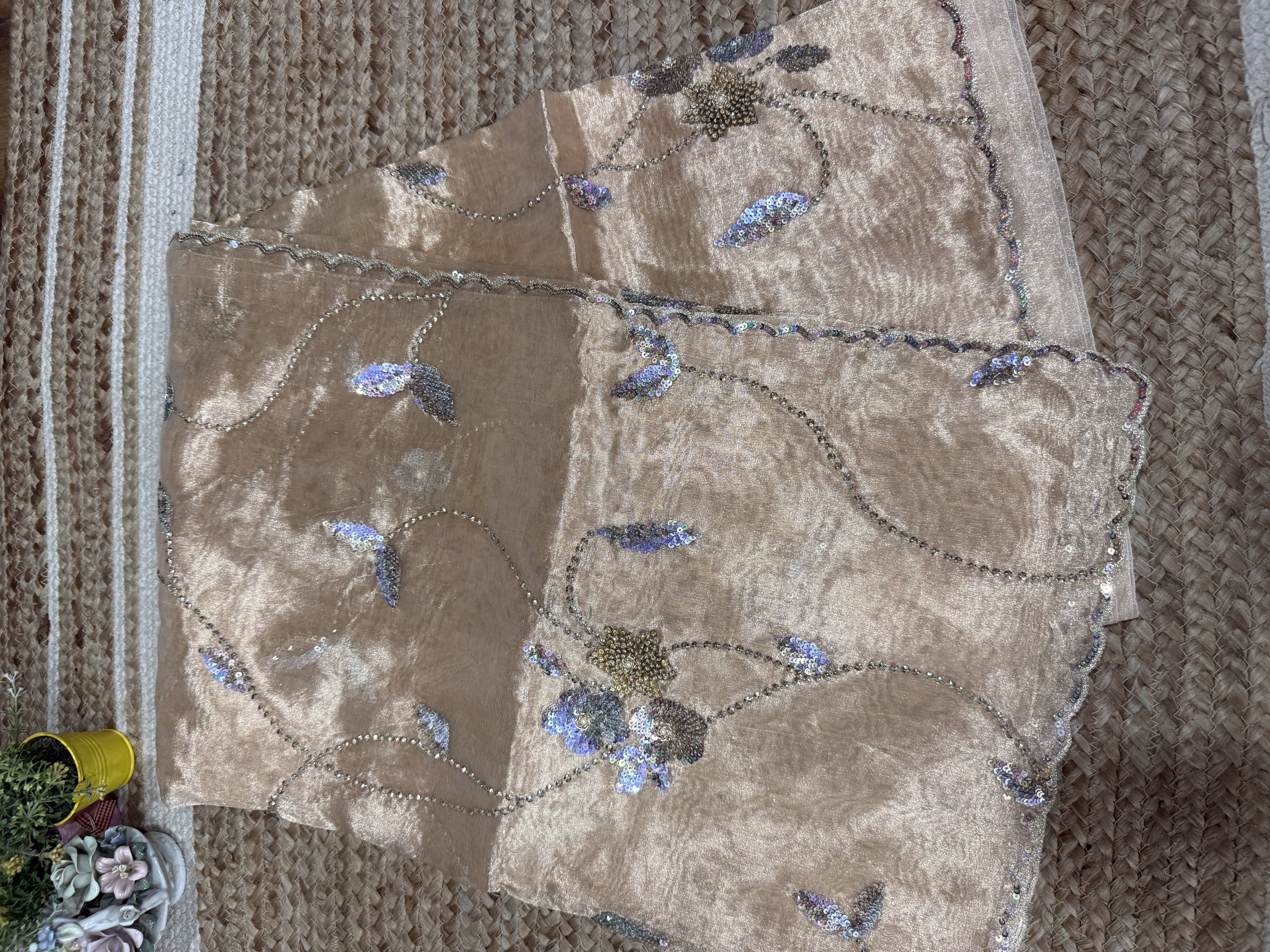 Champagne Sitara Tissue Saree - Image 4