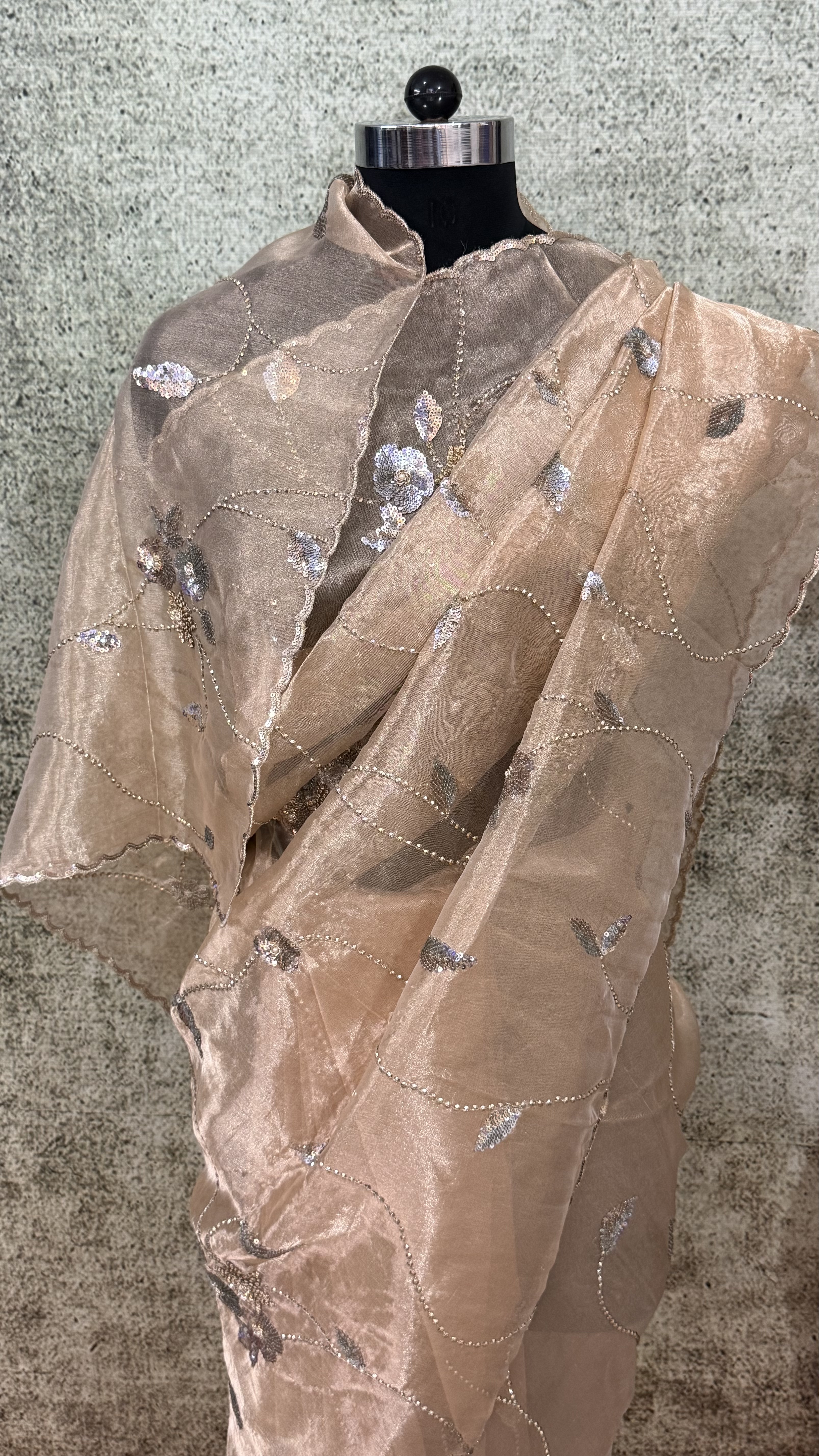 Champagne Sitara Tissue Saree - Image 3